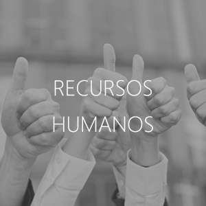 CONSULTORIA – RECURSOS HUMANOS